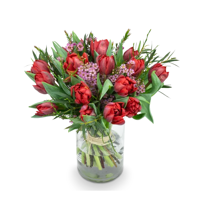 Kytice prémiových tulipánů